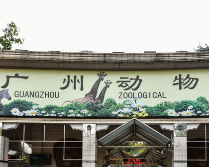 广州动物园
