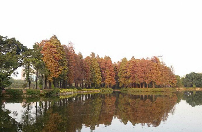 流花湖公园内景