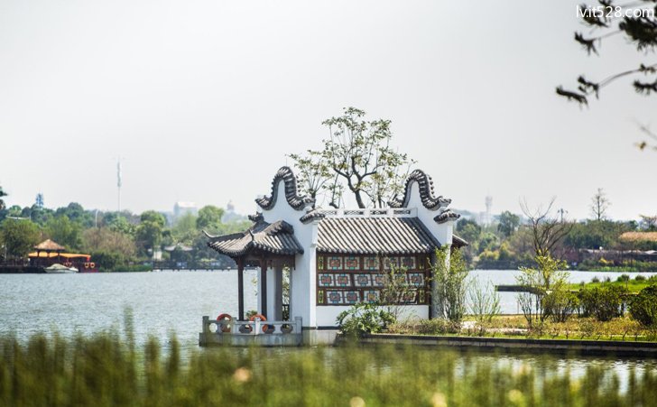 广州海珠国家湿地公园内景