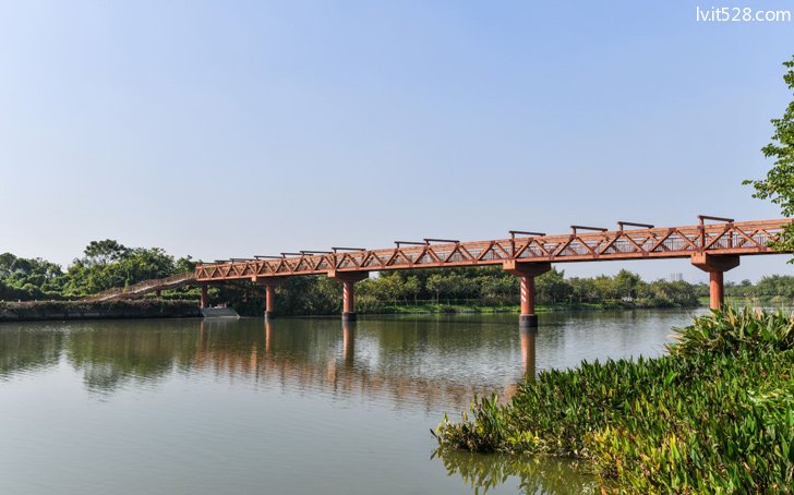 广州海珠国家湿地公园内景