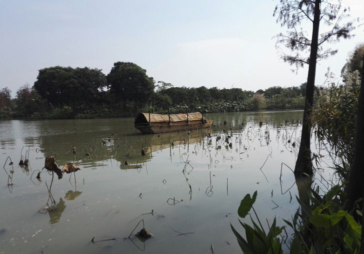 广州海珠国家湿地公园内景