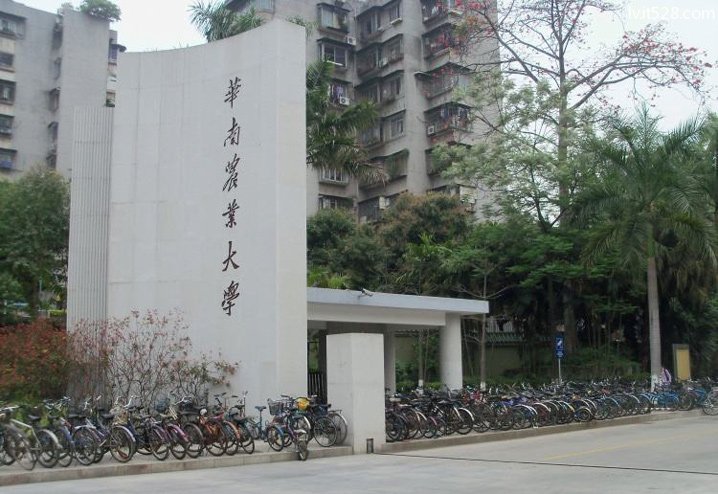 华南农业大学大门